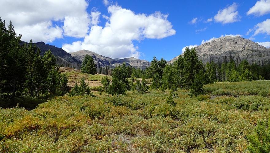 The Shoshone National Forest is a First Among Forests