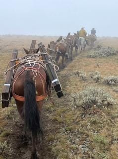 The Shoshone National Forest is a First Among Forests