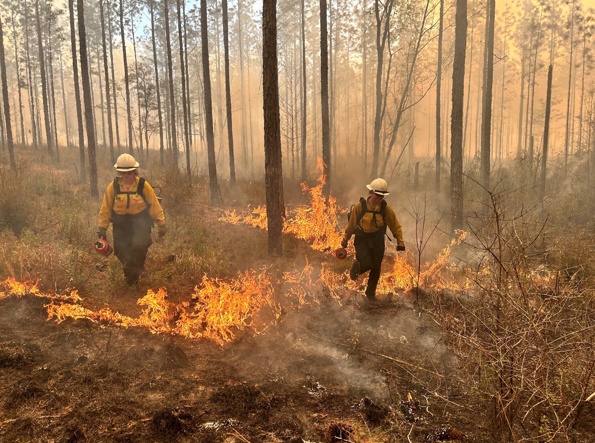 Women In Fire: Blazing Through Barriers