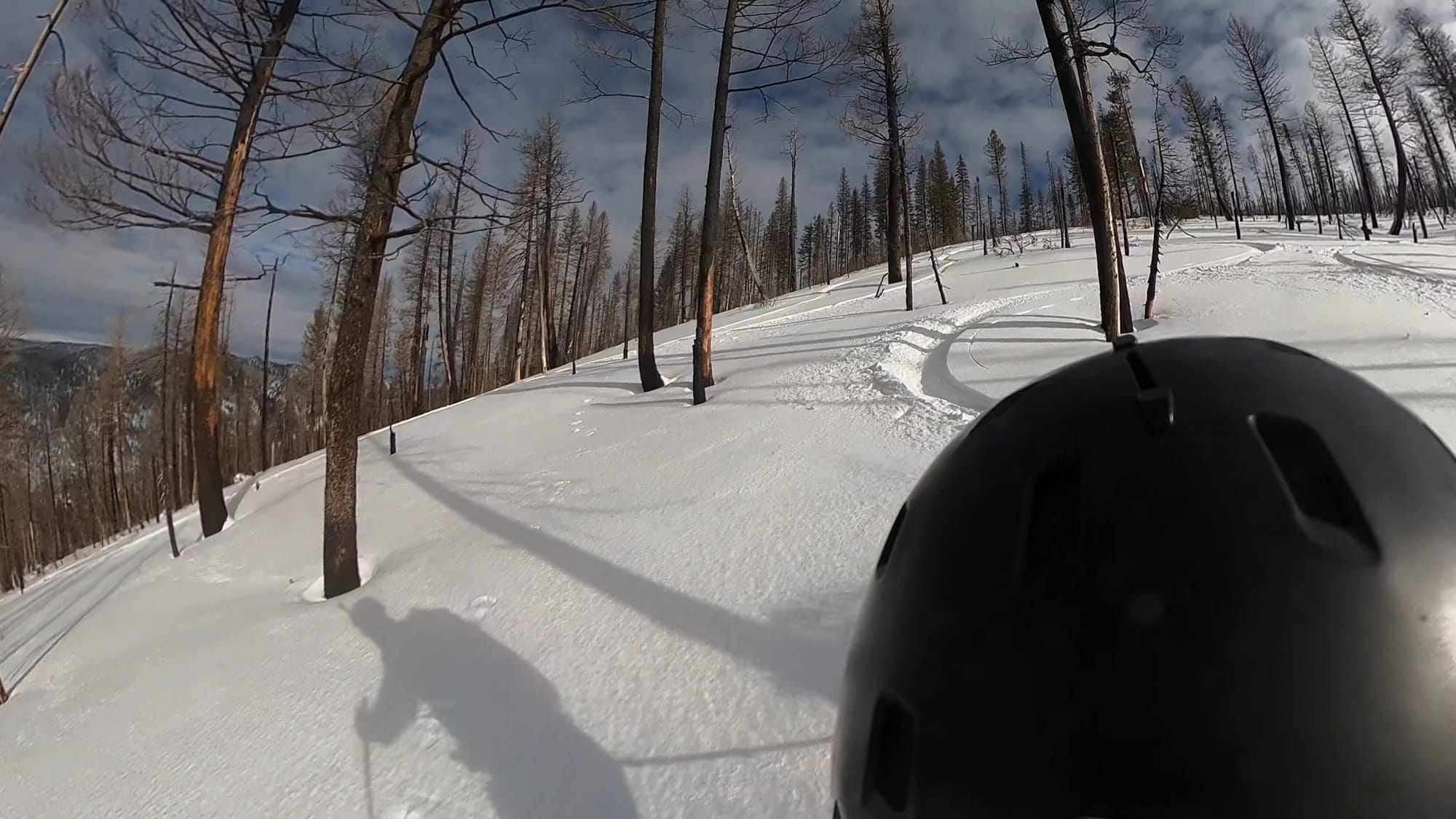 Picture of skier laying tracks in the fresh snow.