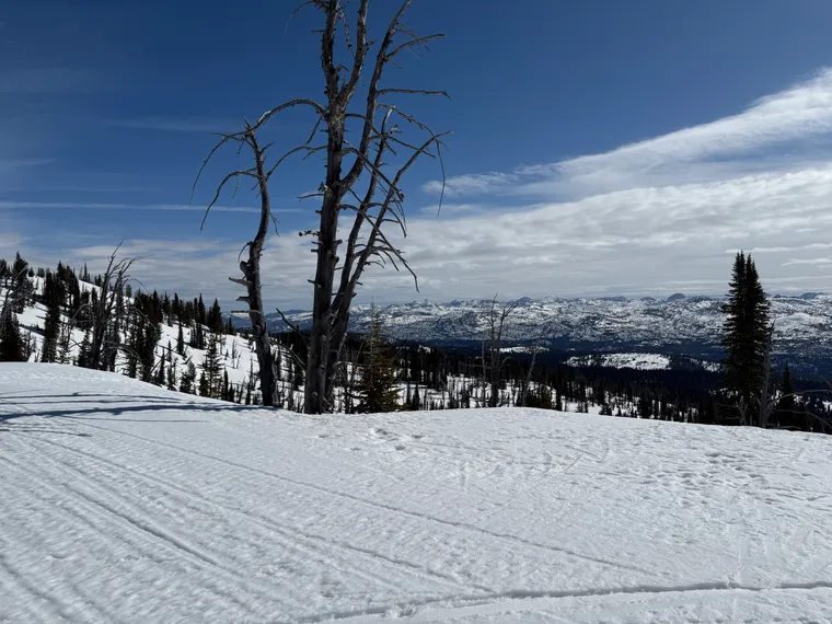 Picture of snow capped mountains.